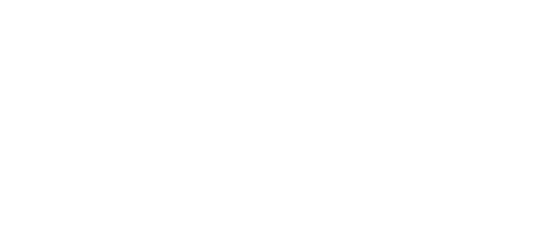 在海外连接到中国的软件 - 海龟VPN